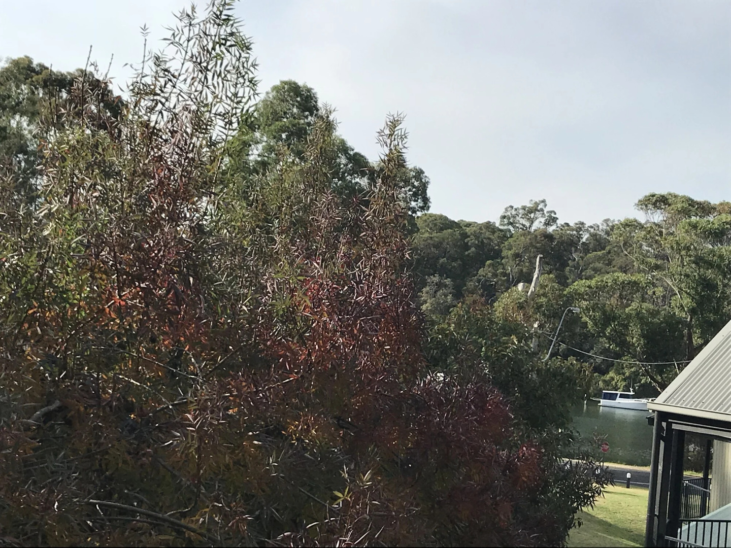 Edgewater Terraces at Metung