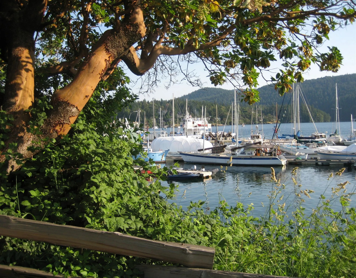 Brentwood Bay Resort & Spa