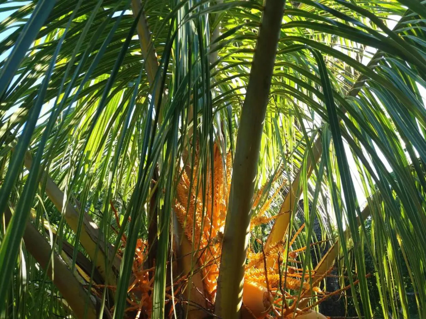 Gîte 1001 Nuits - SINBAD