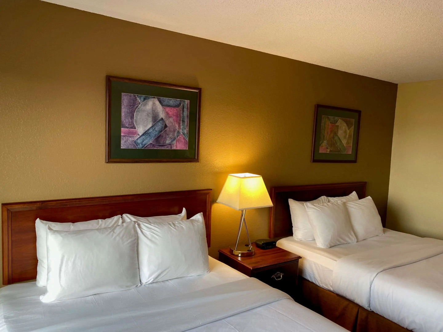 Comfort Inn & Suites Morton - Peoria