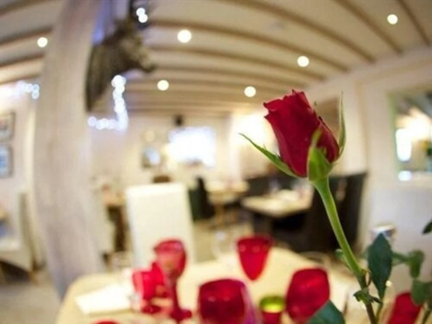 The Live and Let Live Country Inn