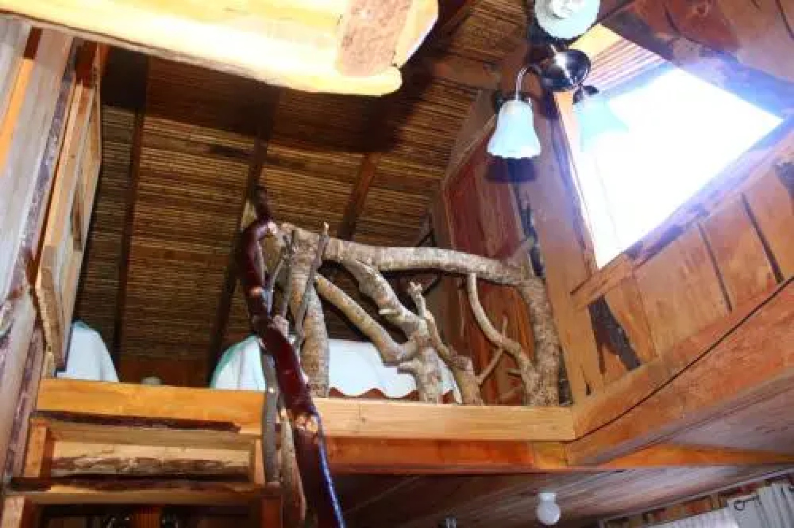 Cabañas Pehuen Neltume