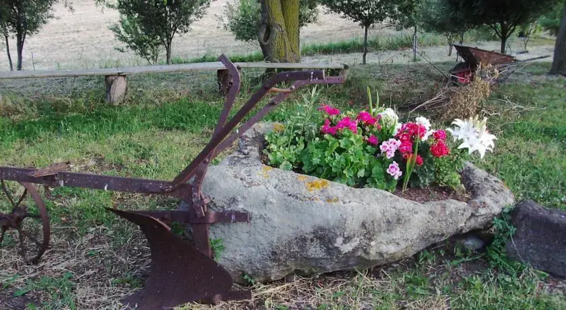 Agriturismo Cugumia