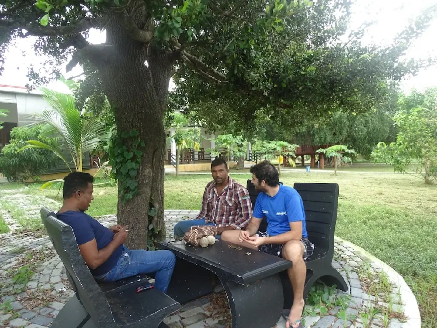 Hotel Grand Halabana