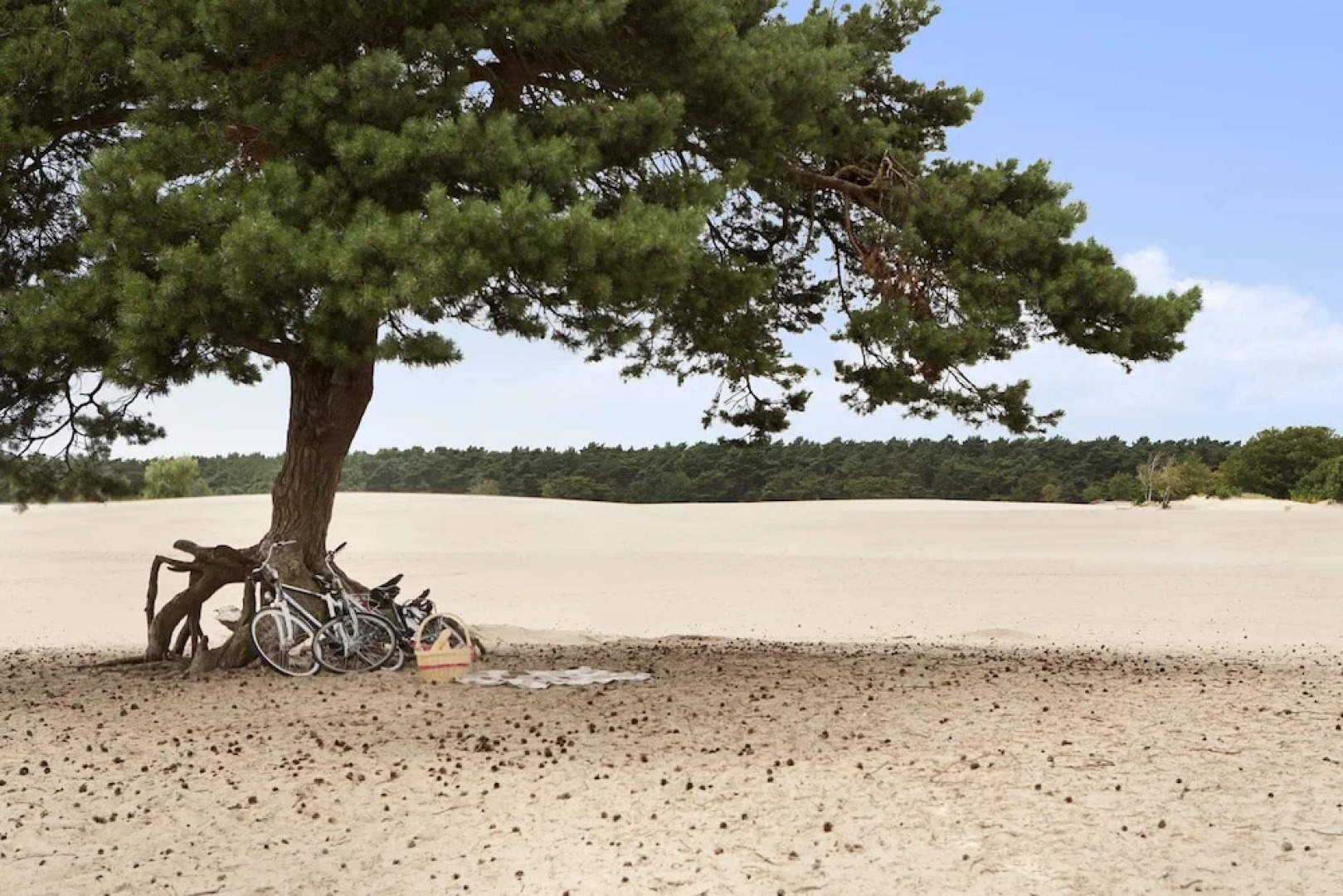 Hilton Royal Parc Soestduinen