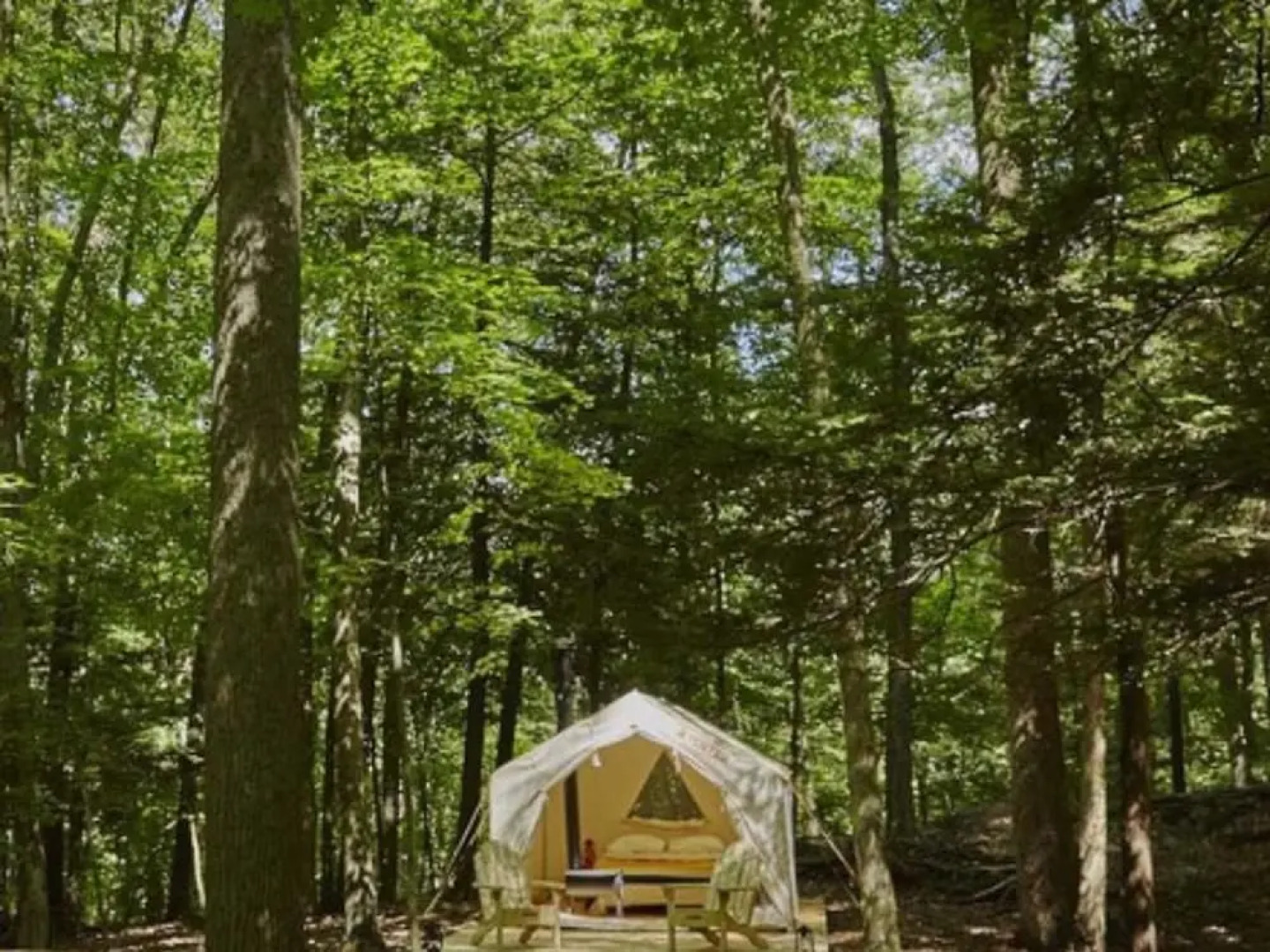 Tentrr - Cooke's Creek- Campsite