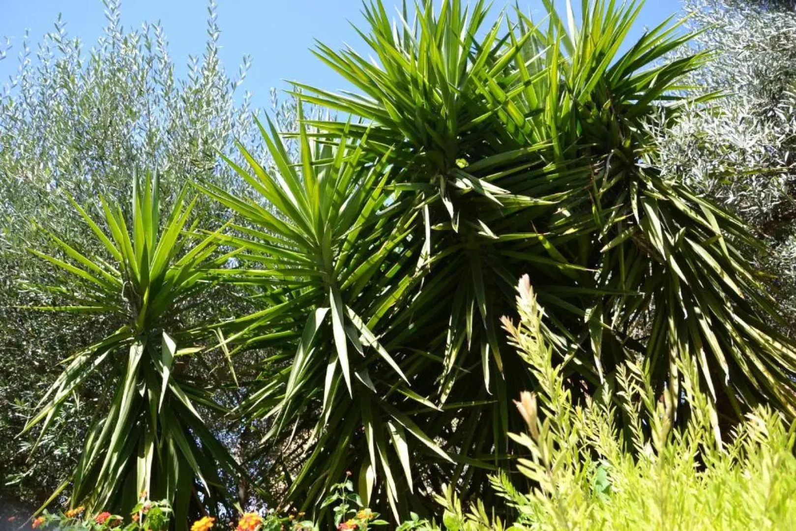 Bed and breakfast Due Fontane