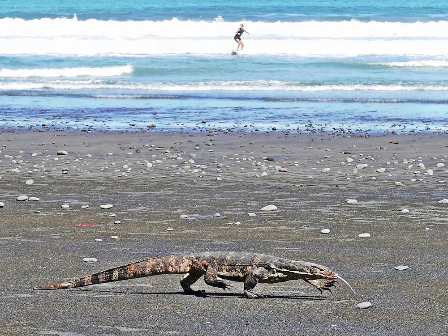 Wide Sands Beach Retreat