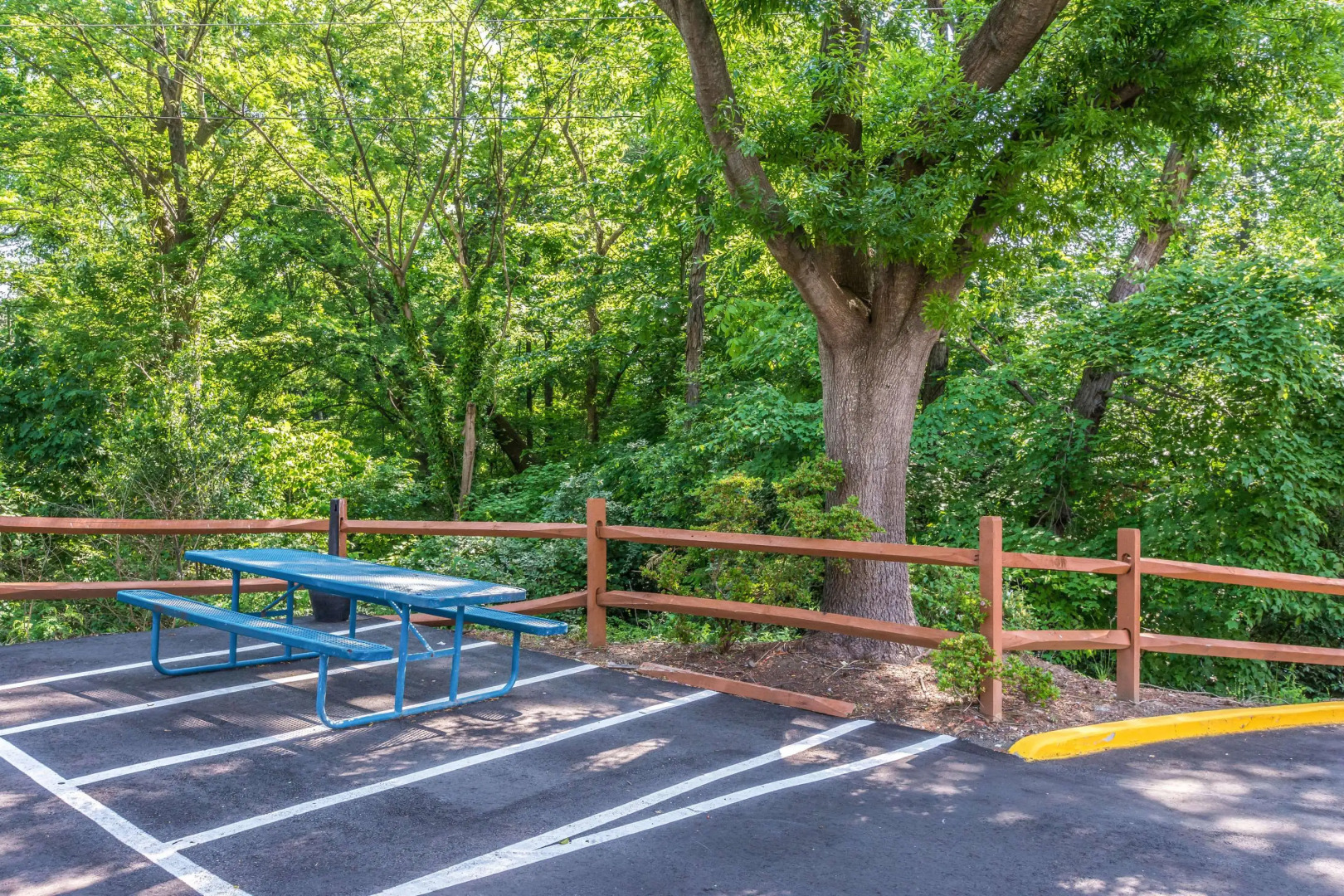 Comfort Inn Charlotte Airport Uptown