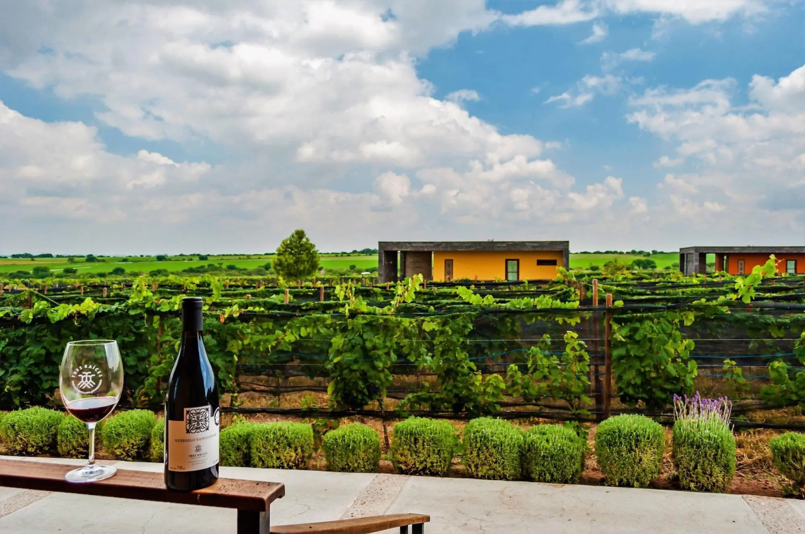 Hotel Boutique Tres Raíces