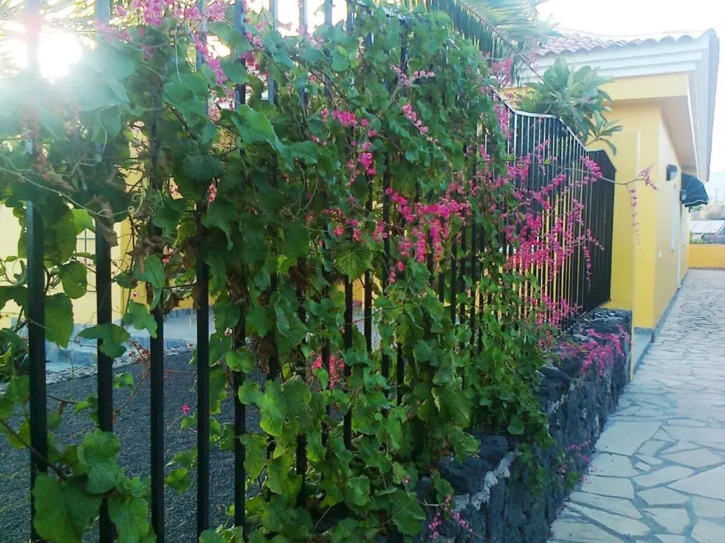 Apartamentos Villa María