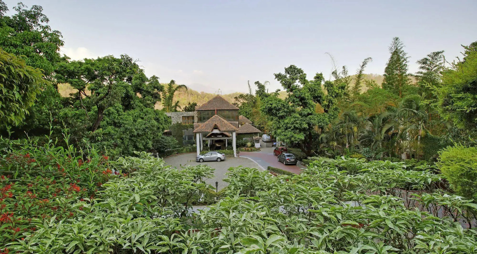 Wood castle Spa & Resort