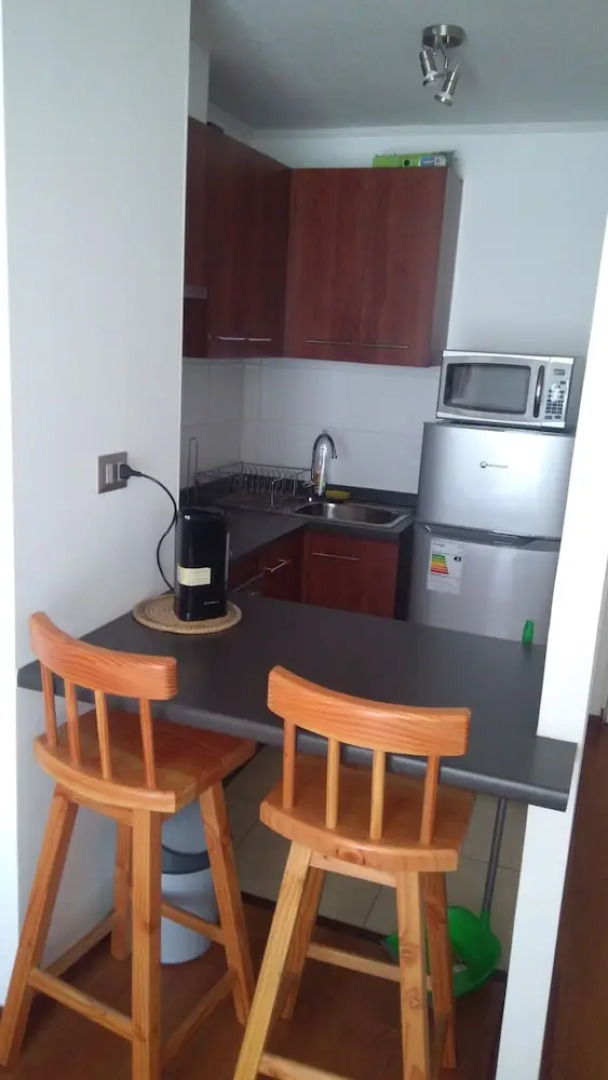 Apart Hotel Plaza Suite Los Carrera