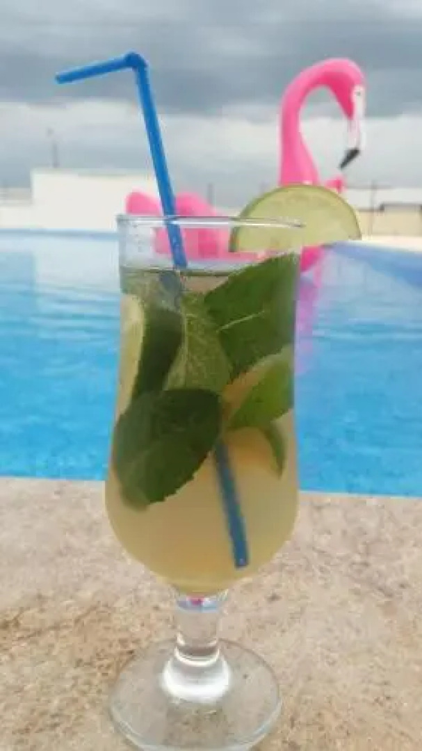 Motel Restaurant Elite