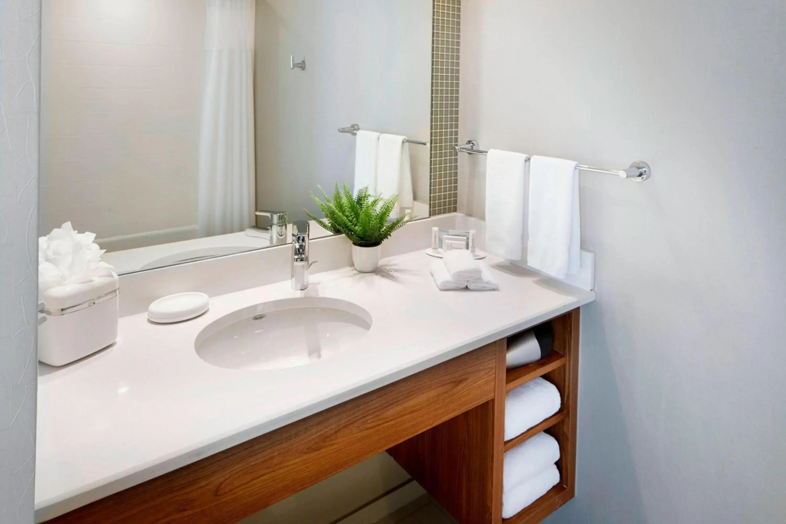 SpringHill Suites Columbus OSU