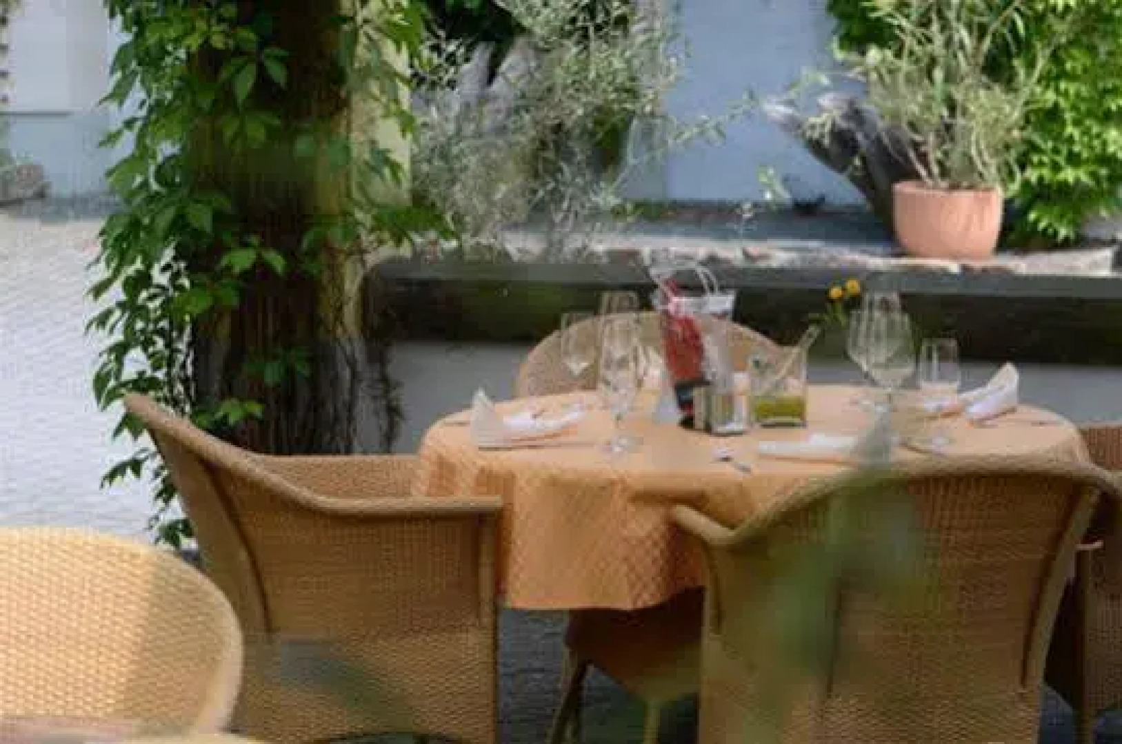 Landidyll Hotel Baumwiese