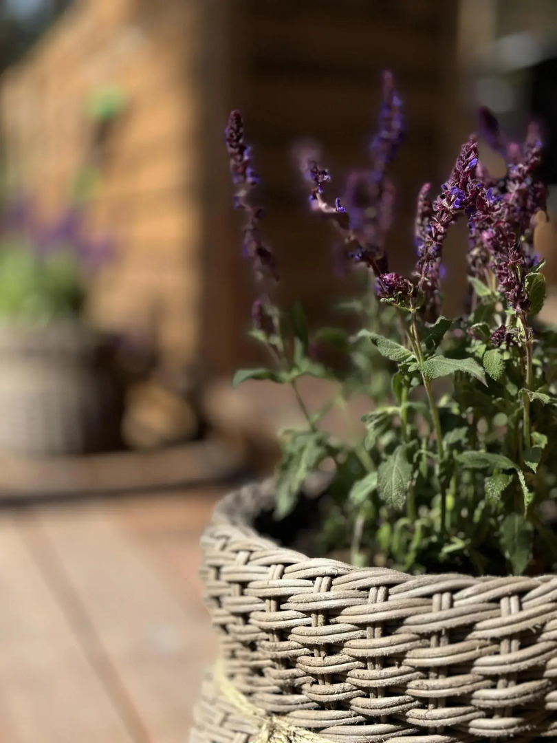 Глэмпинг YANTAR (Янтарь)