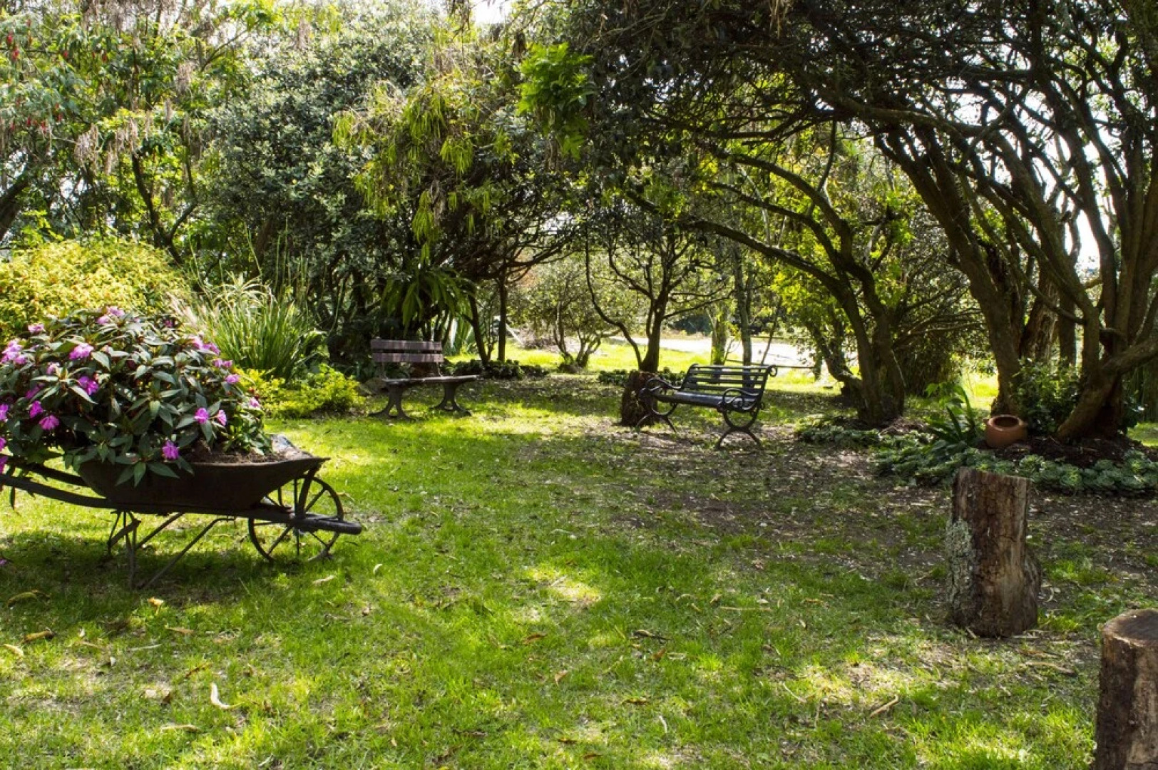 Hotel Rincón de la Montaña