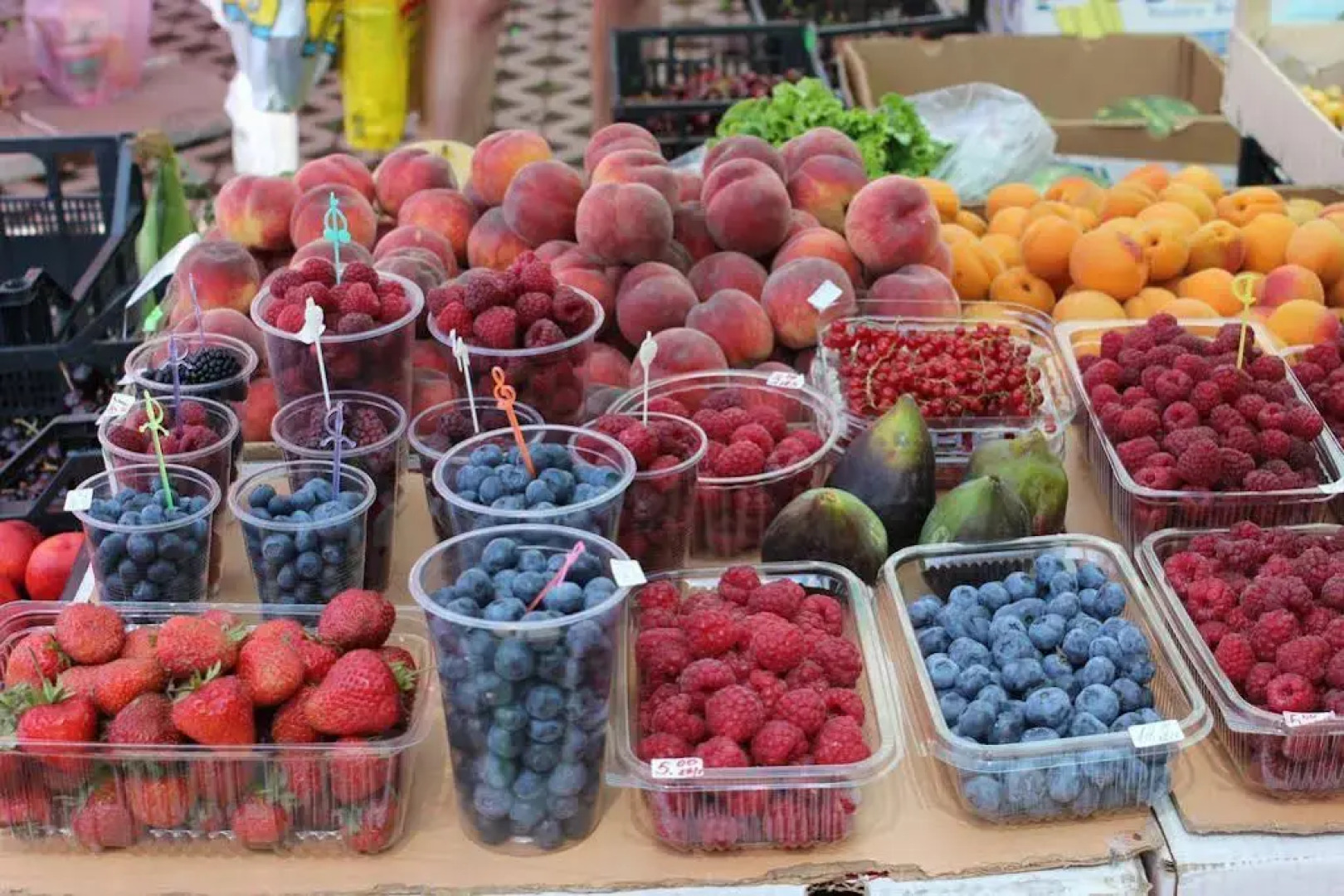 Family Hotel Electra