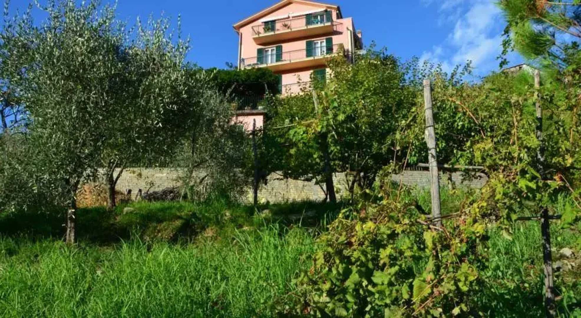 Villa Delle Rose