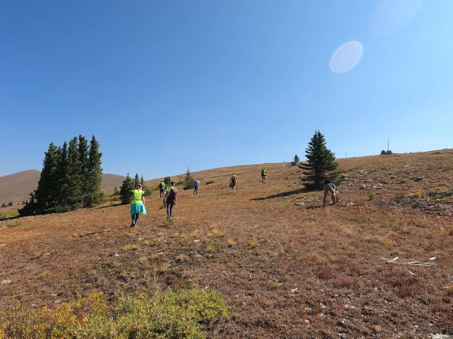 Studio In Lakeside Village, Updated Kitchen & Bath Apts