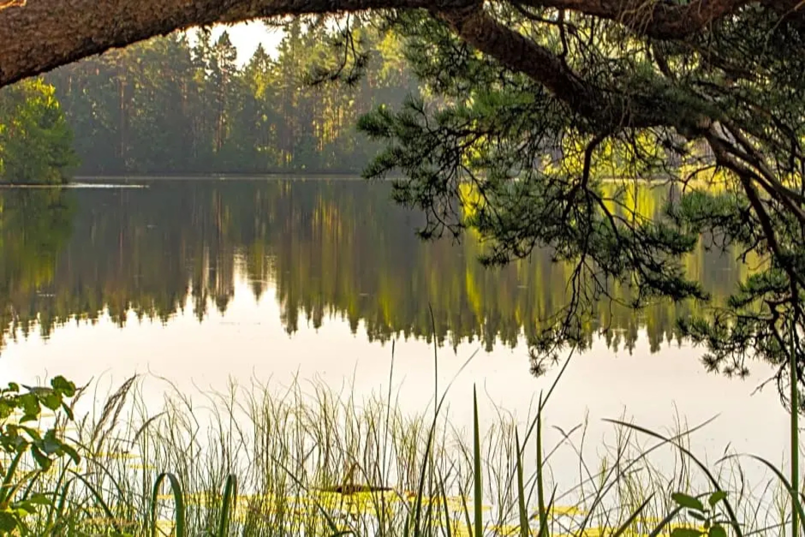 Saarj¿e puhkemaja tuba koos hommikus¿¿giga