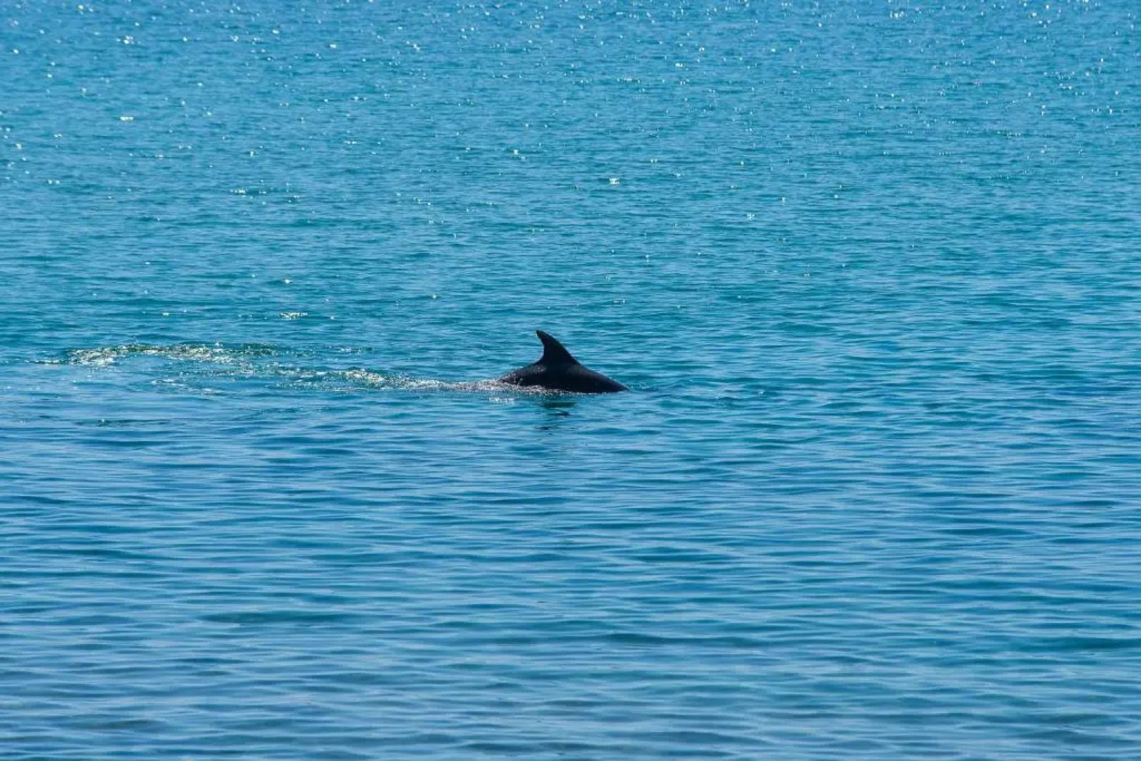 Hotel Aegean Infinity Deluxe - Limenaria