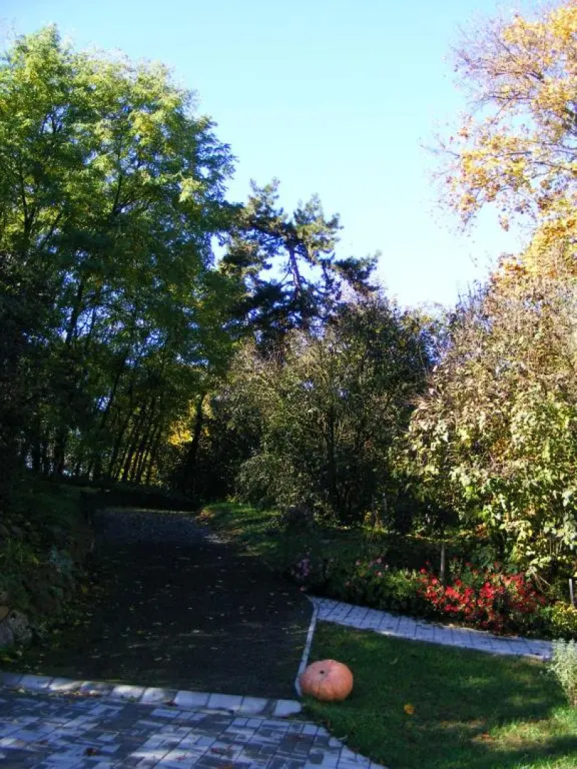 Kétbodonyi Apartments