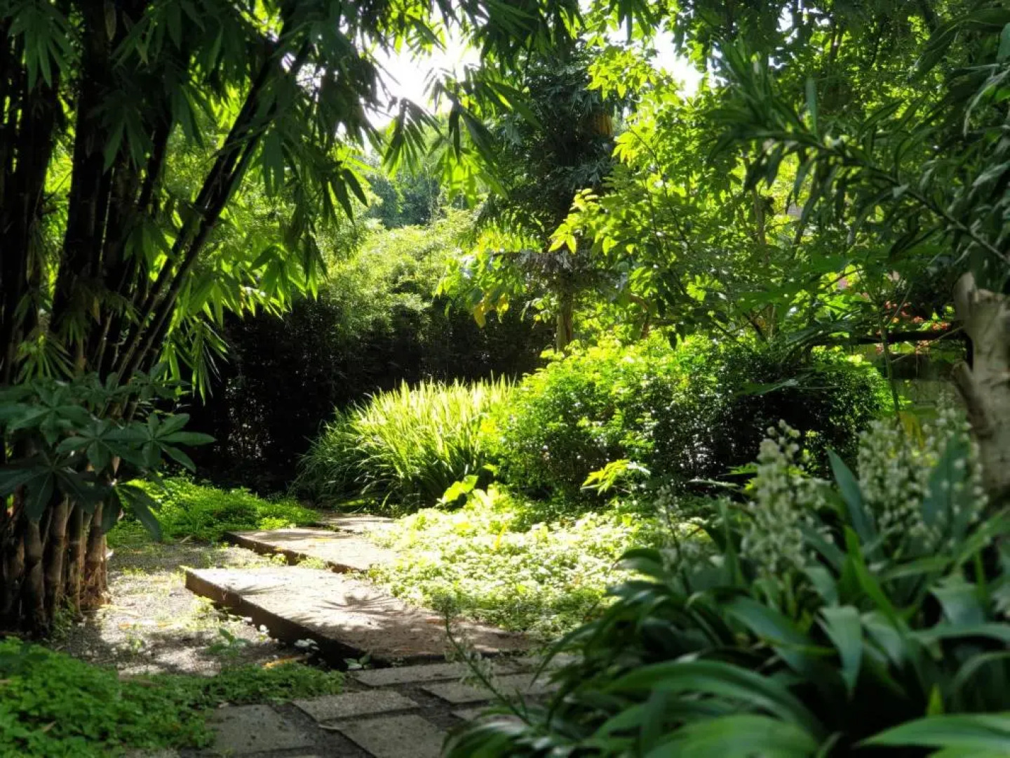 Maka-Kalinaw 5 Wabi sabi Room, Forest Deck View