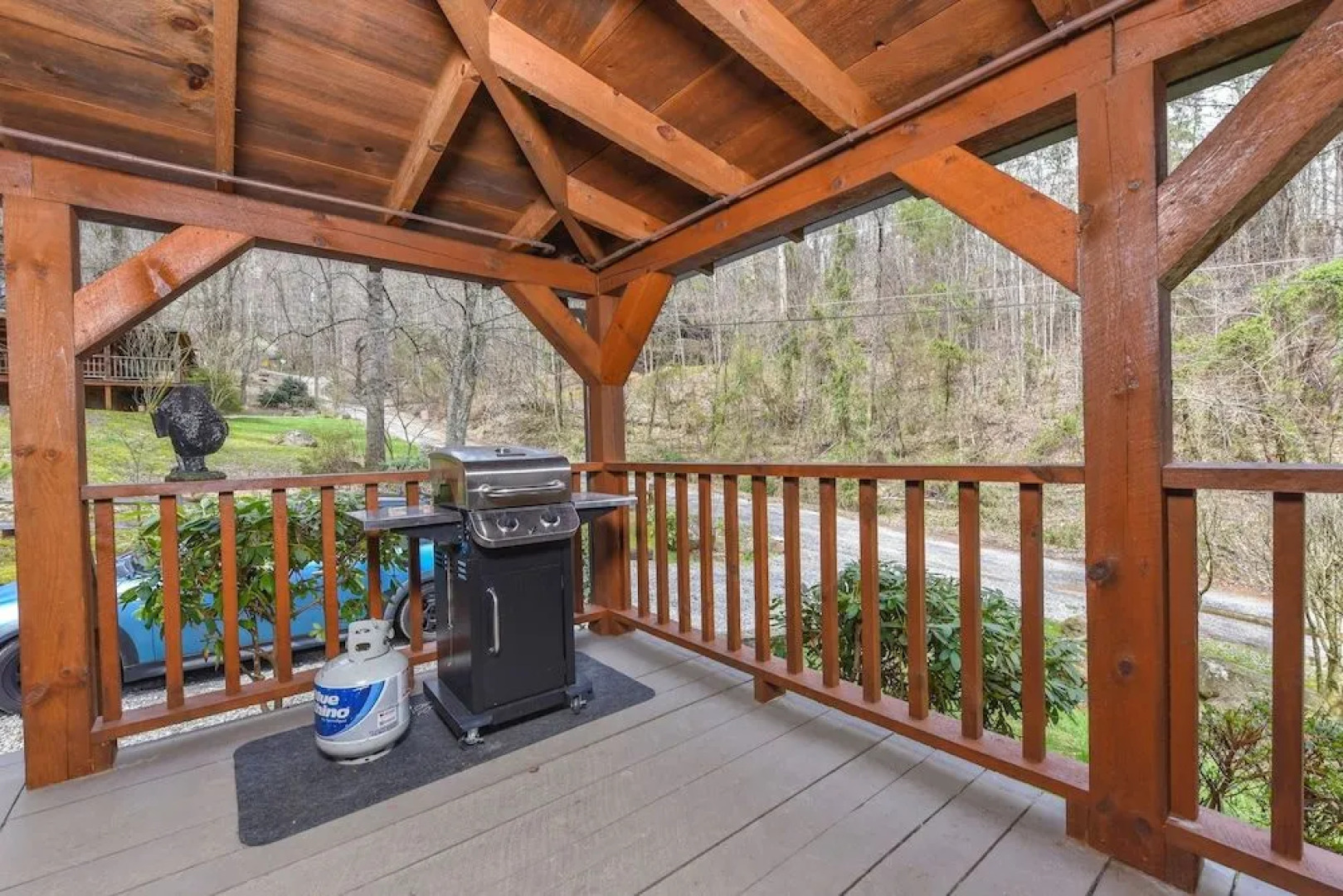 Bear Nekkid 1 Bedroom 1 Bathroom Cabin