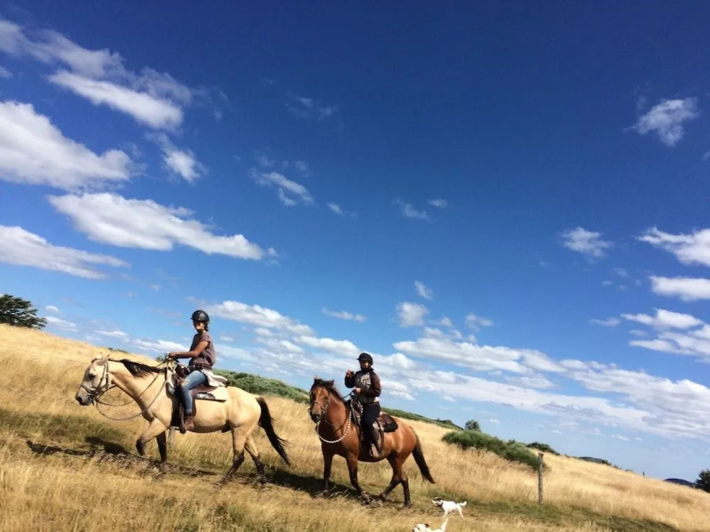 Gite Ciel D’Ardèche (15 pers)