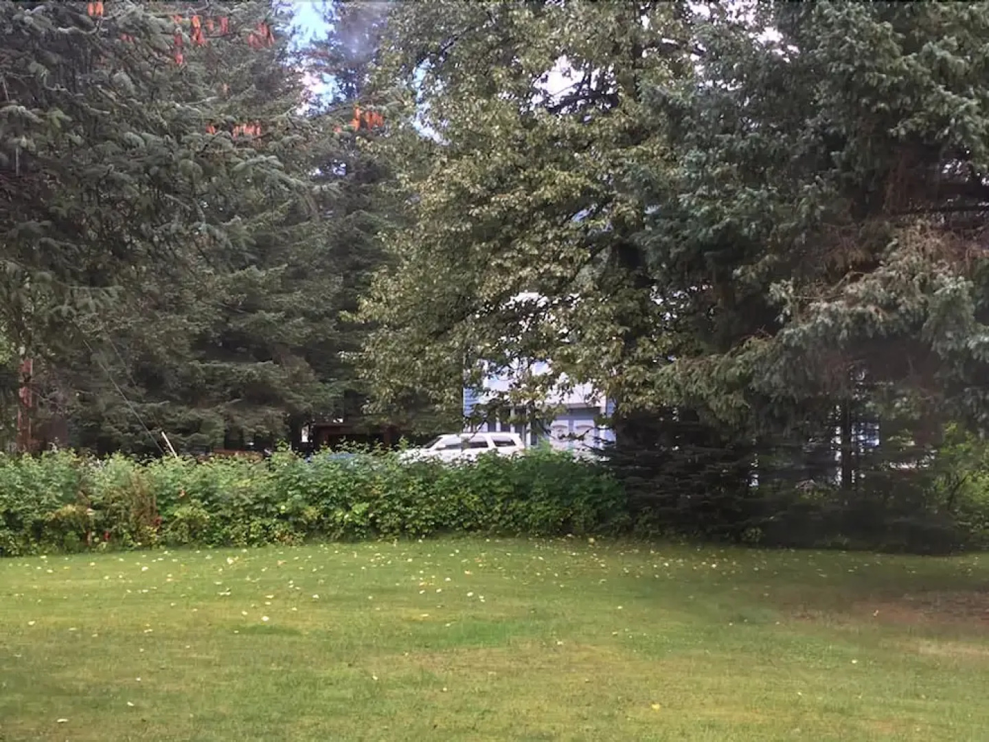 Alaska Dreamin' Lodging