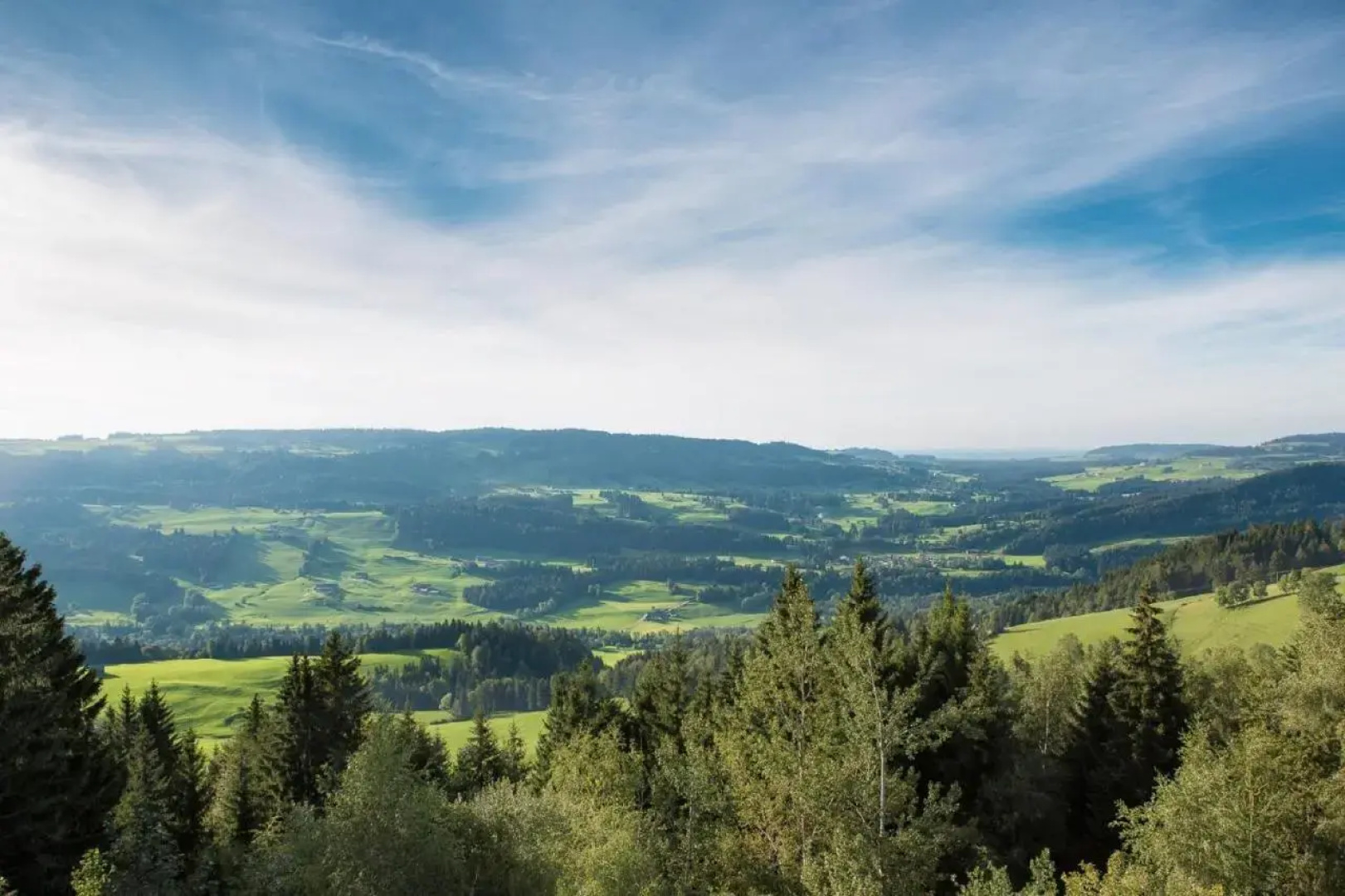Zum Hirsch