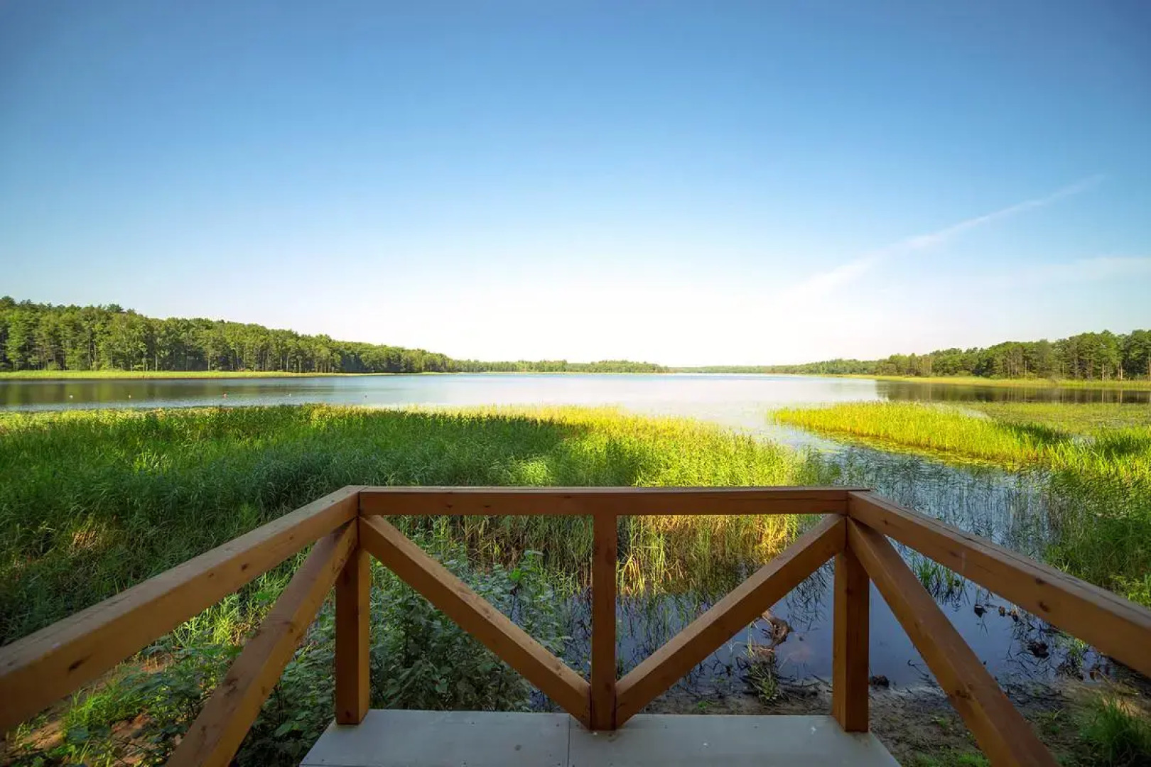 База отдыха ЭКОдеревня Яковское