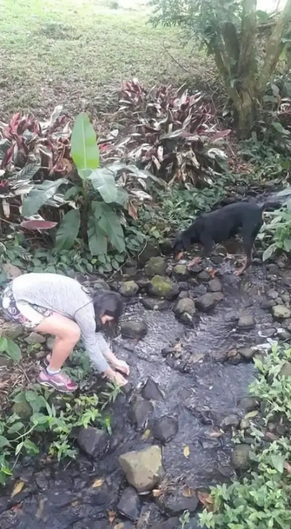 Hotel Pacuare Turrialba