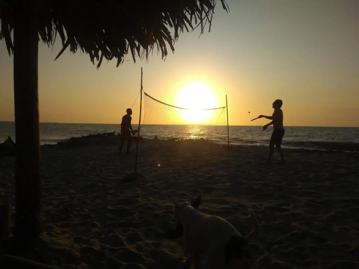 Casa Akira- Rincón del Mar