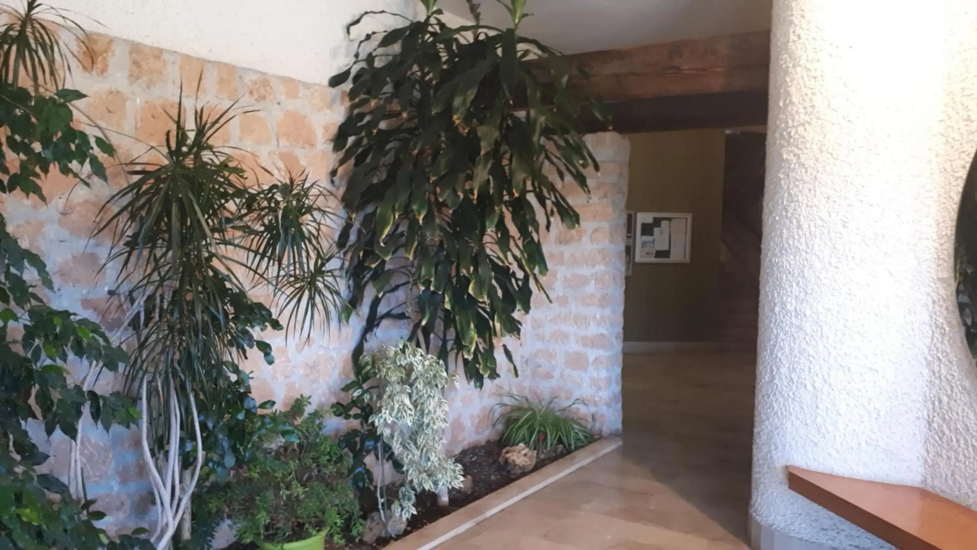 Gallinara Home