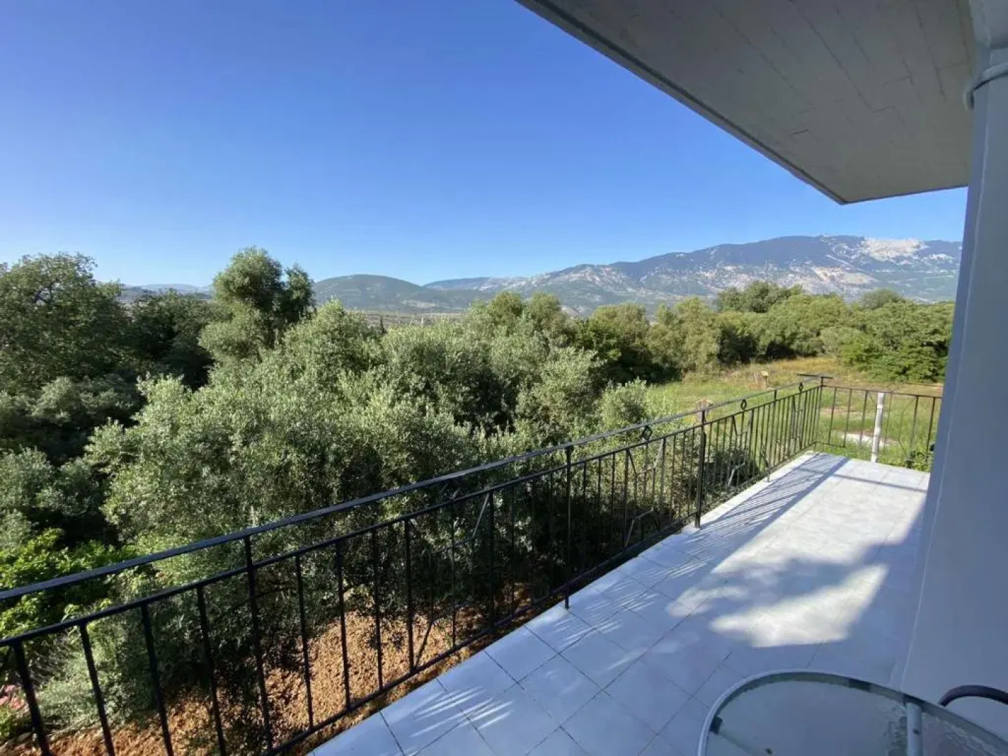 Alexander apartments 4