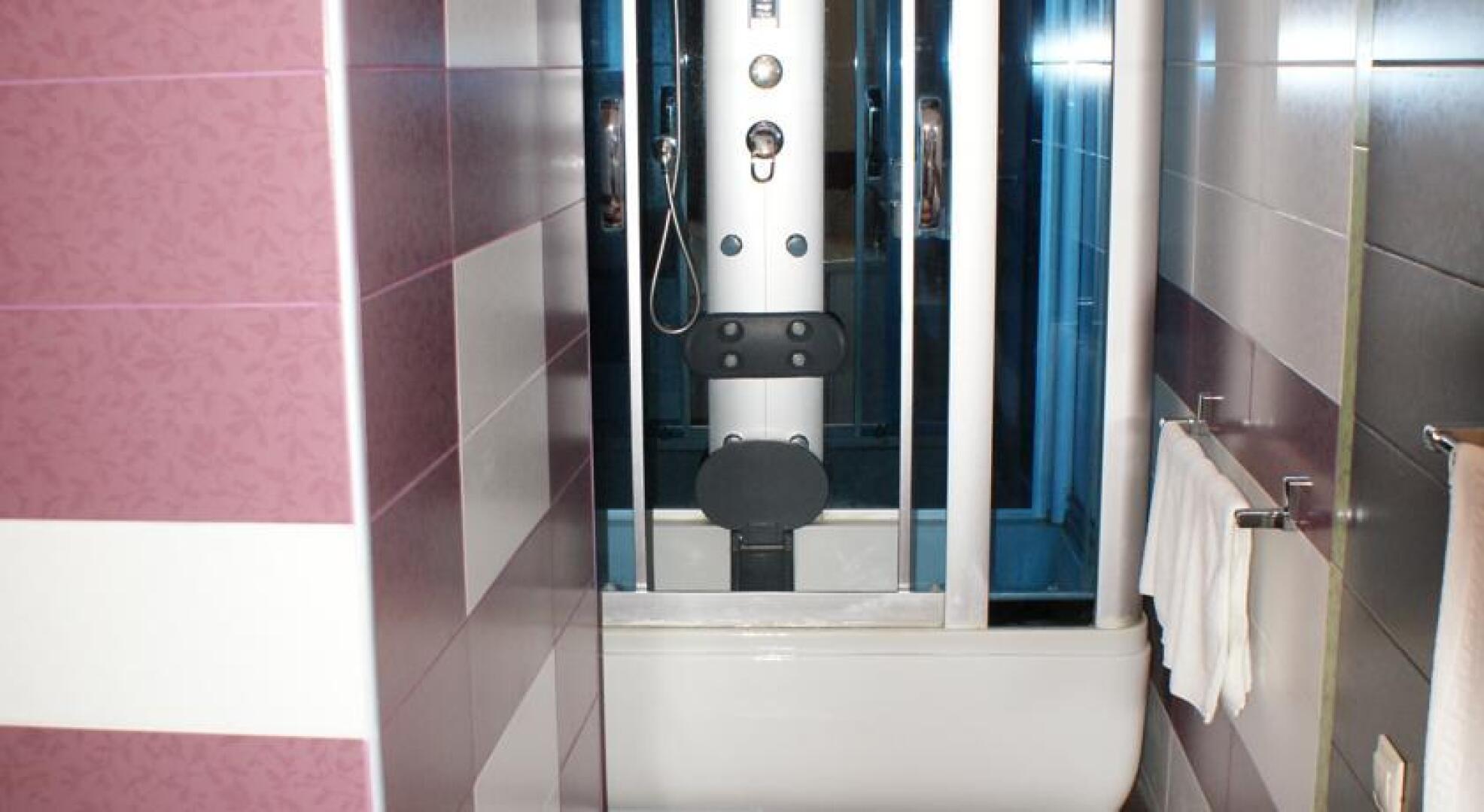 Отель Олеся