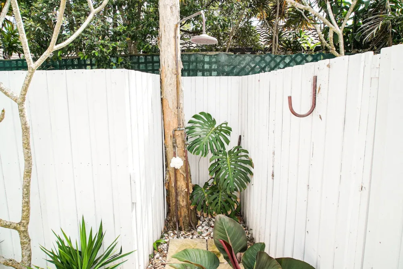 Your Luxury Escape - Paradise Palms