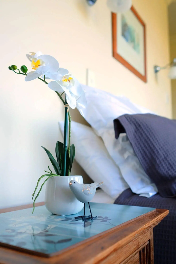 Acacia Bays Tauhara Sunrise Lodge