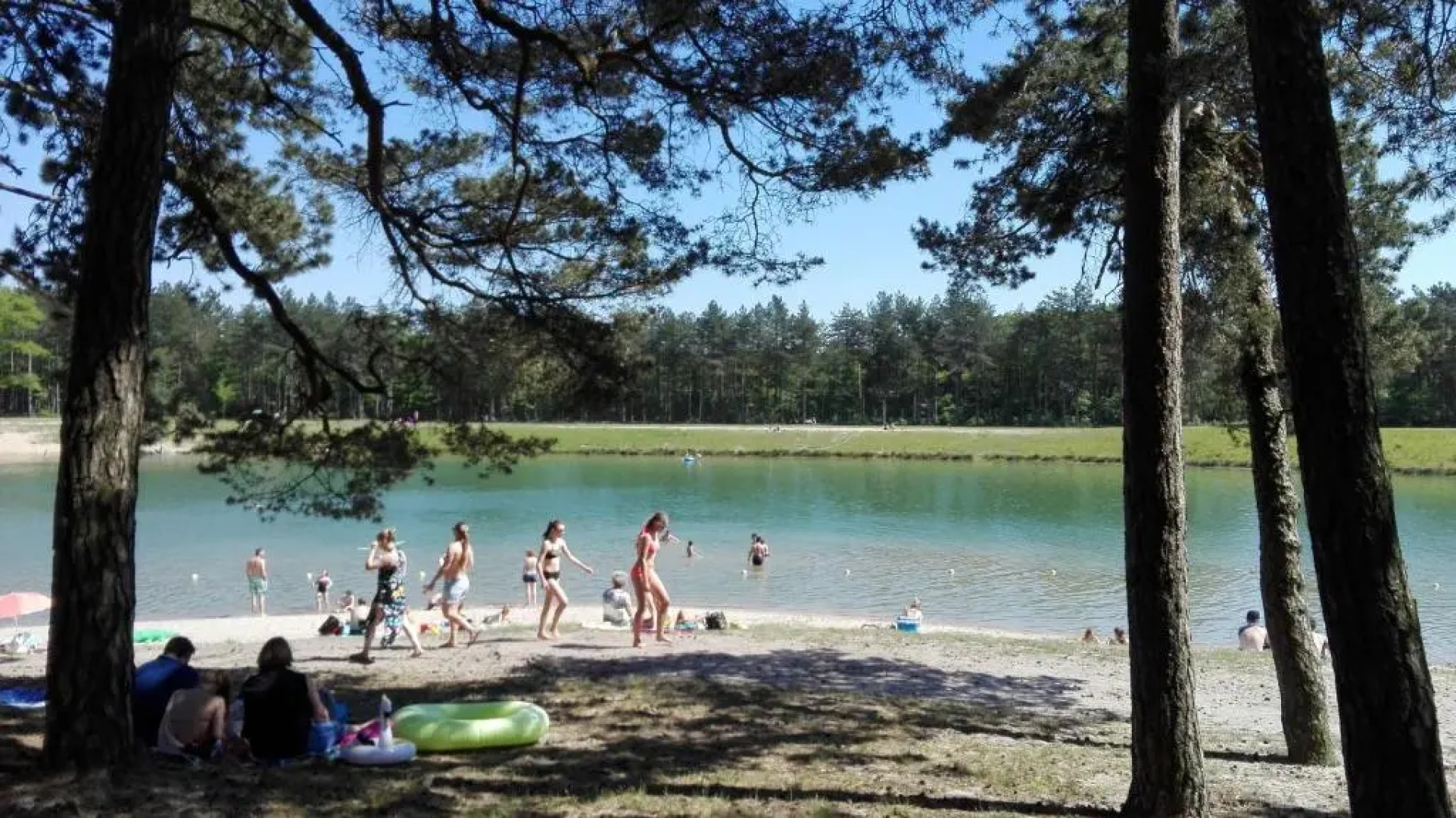 Boshuisje op de Veluwe