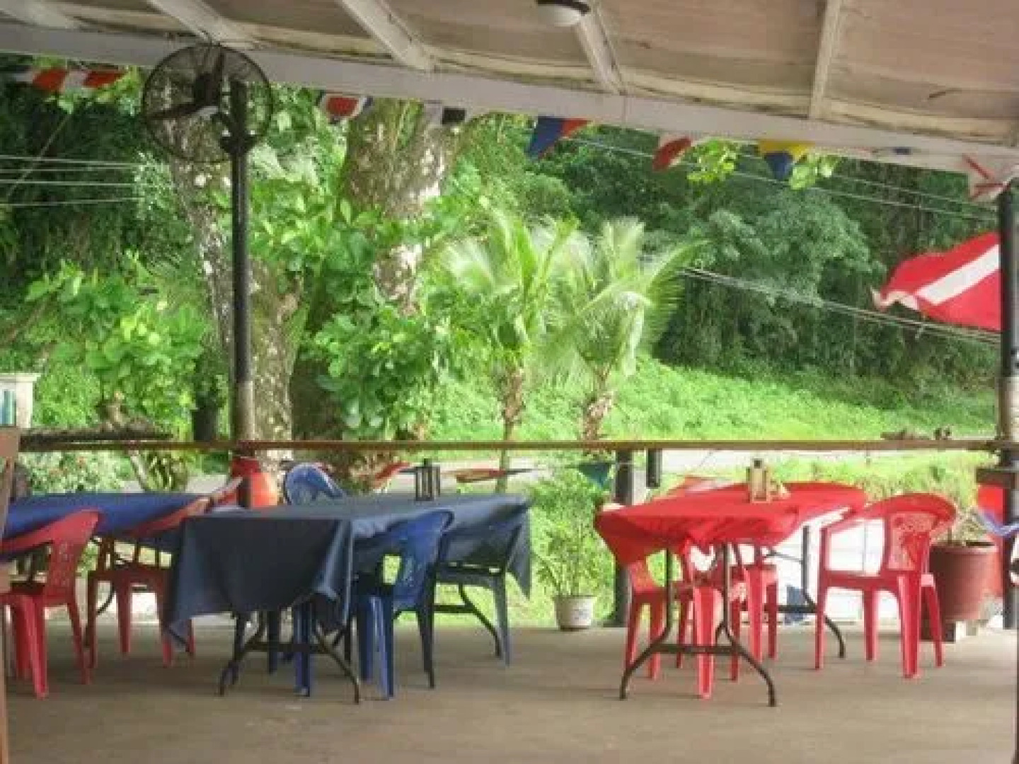 Panama Divers & Octopus Garden Dive Center