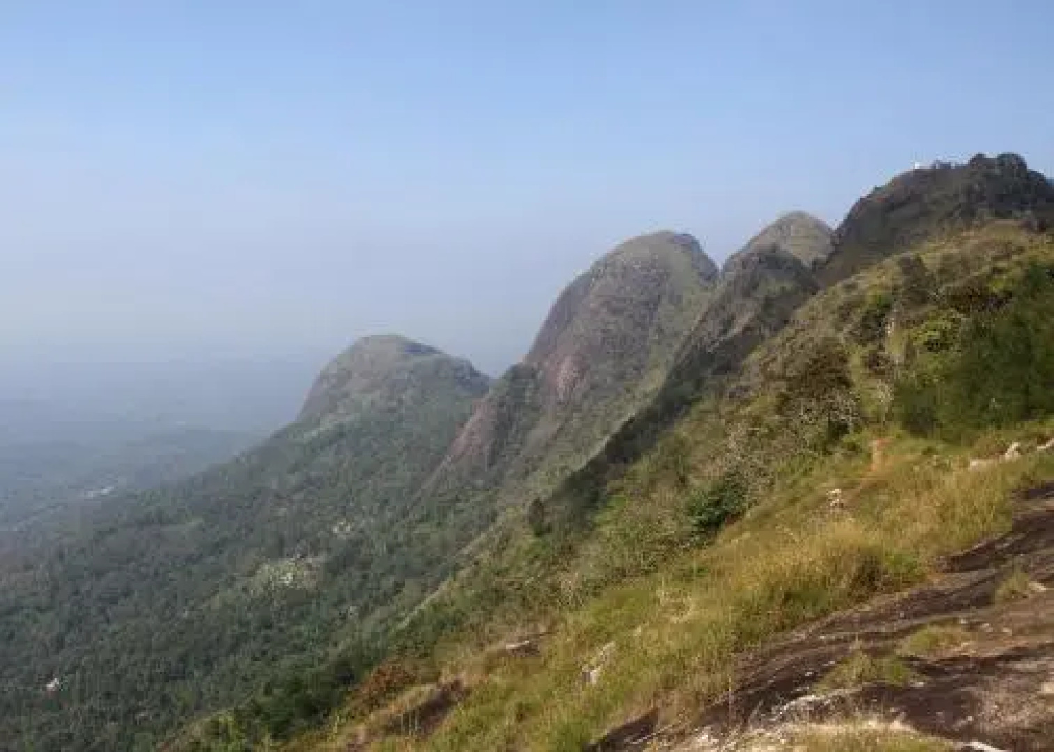 Bio Veda Ayurvedic Hill resort