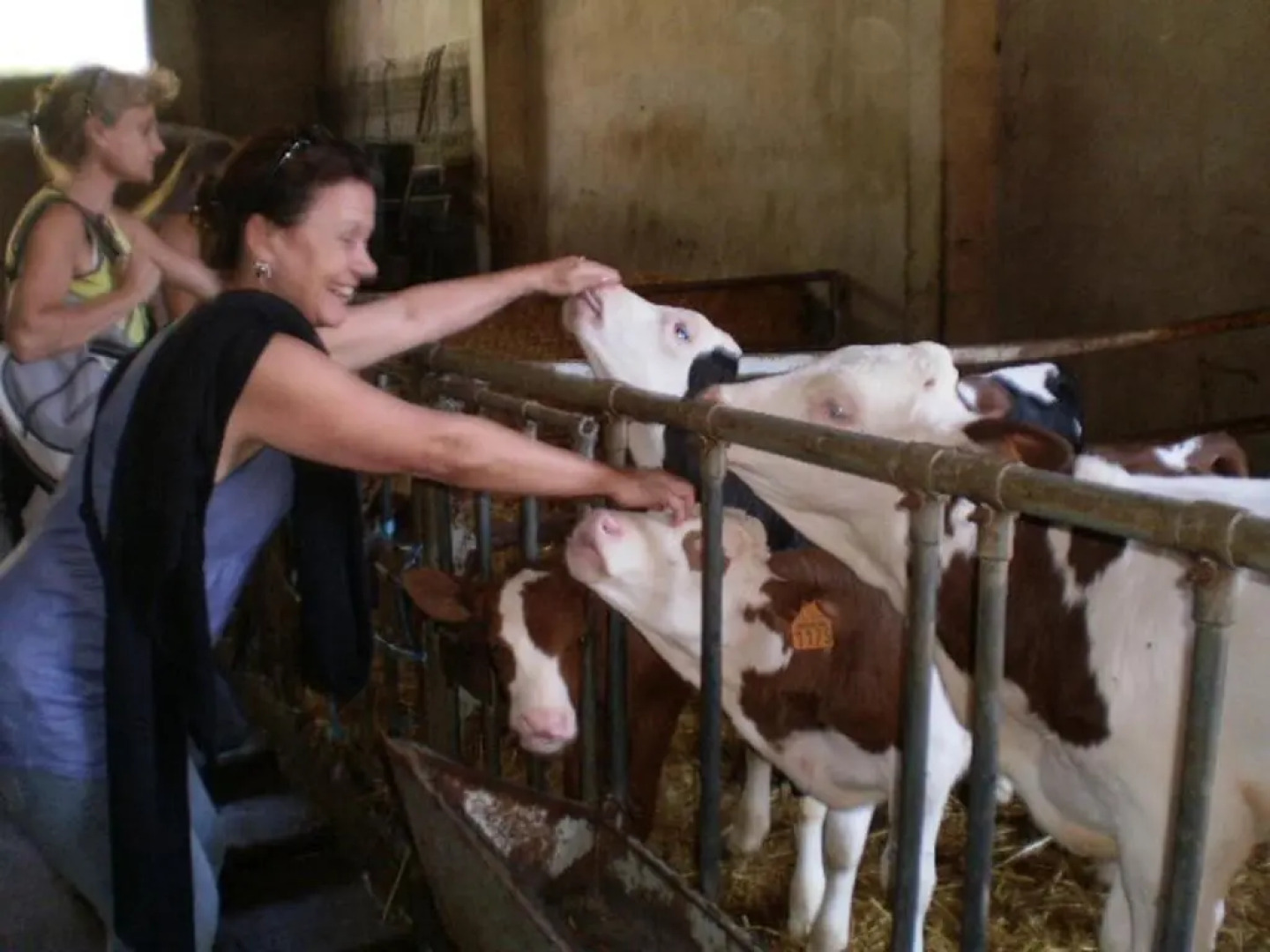 Tandem de choc - Neige et Soleil