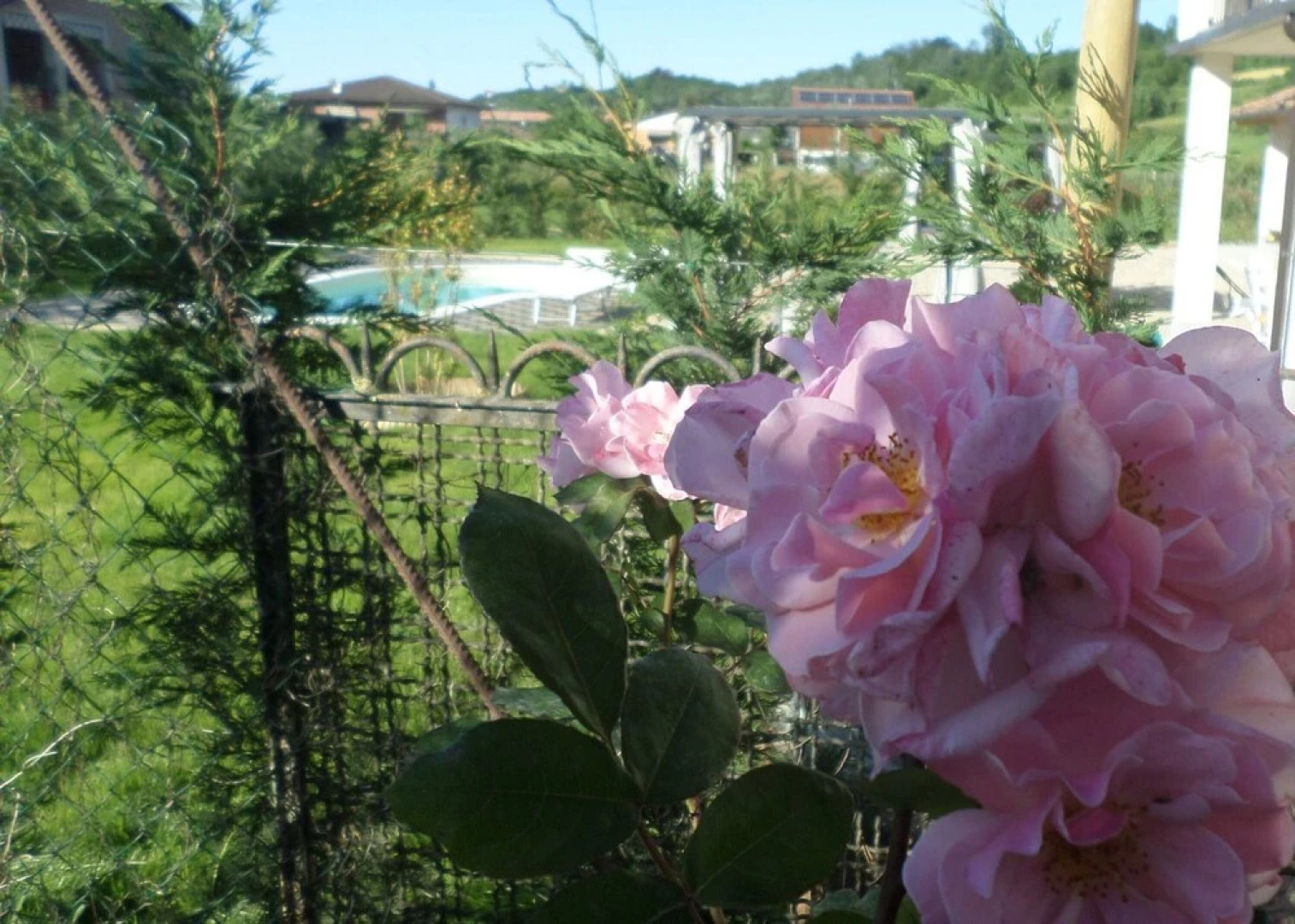 Laura's Country Resort