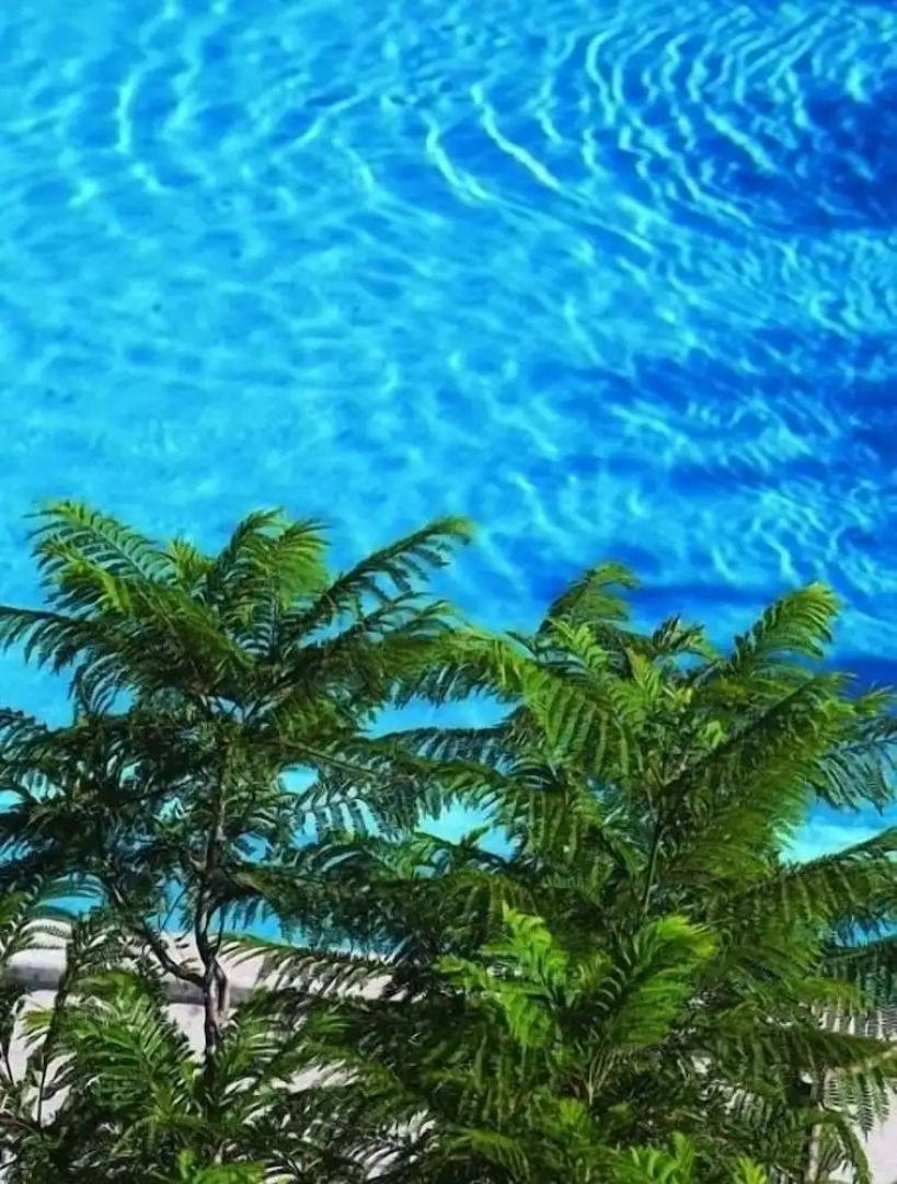 Zeus Kumlubük Hotel