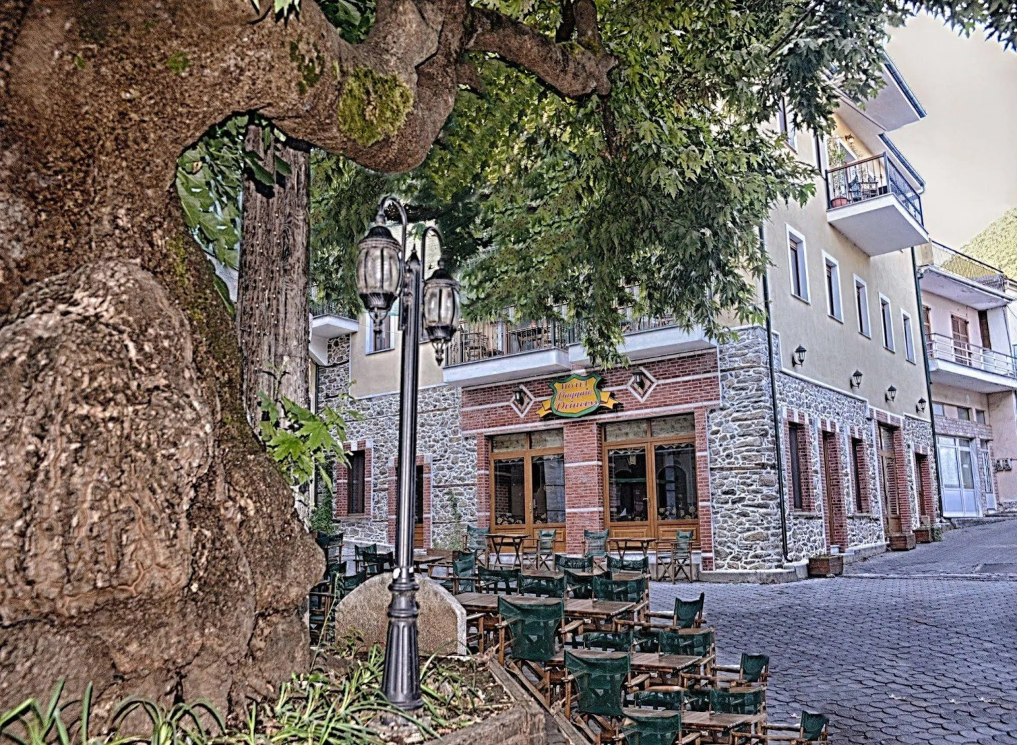 Hotel Paggaio Princess