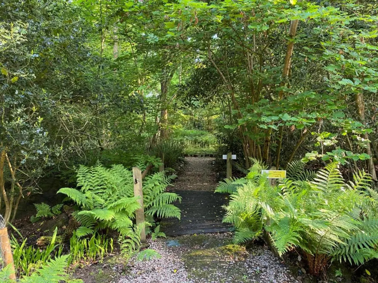 The Garth Guest Suite Studio Cottage