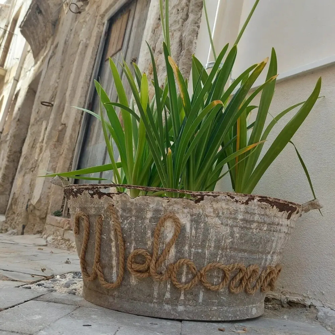 Sogno e Luce di Rosalia